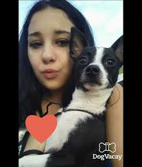 Top Dog Boarding in Saint Jacob with Best Prices