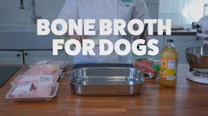 How to make bone broth for dogs in slow cooker. How To Make Bone Broth For Your Dog In A Few Easy Steps The Dog People By Rover Com