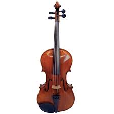 Image result for Viola eminii