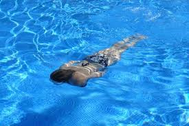 de leukste zwembaden in warmond en omgeving fijnuit nl