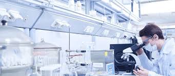 No Title Cancer Patients Immunotherapy Immunotherapy Cancer