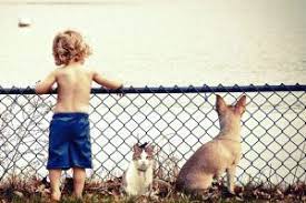 Check spelling or type a new query. Importance Of The Family Pet Animal Care Clinic
