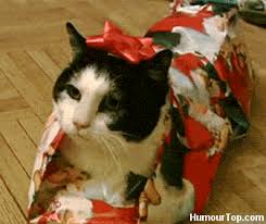 Résultat de recherche d'images pour "gif noel chat"