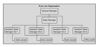 Line Organization Chart Meaning Advantages And Disadvantages