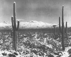 For more farming information, see agriculture. Research In The Parks Ecology Of The Saguaro I The Role Of Freezing Weather In A Warm Desert Plant Population