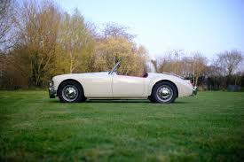 Image result for Old English White 1961 MG