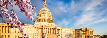 Decorative Graphic In 2020 Twitter Cover Photo Us Capitol Cover Photos
