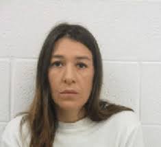 Wayne County Arrest Report 10/25/16