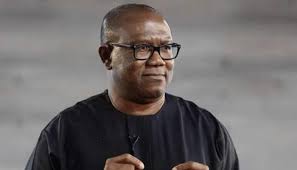 We have repeatedly told PANDEF and the Niger Delta that Peter Obi does not  respect them and is only using them. Look at how he went to Pa Edwin  Clark's Night of