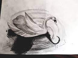 A Swan Pencil Sketching I M Always Training On The Shadow Techniques I Still Find It Difficult I Need More Practicing Pencil Sketch My Drawings Artwork