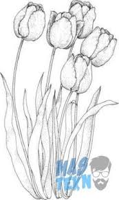 Maka dari itu, obatrindu akan. Paling Keren 14 Gambar Bunga Sakura Menggunakan Pensil 40 Gambar Sketsa Bunga Indah Mawar Matahari Tulip 30 Gamb Lukisan Bunga Sketsa Lukisan Bunga Matahari