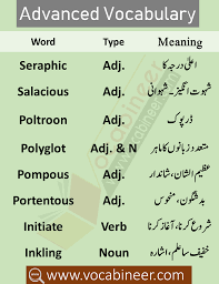 Css Vocabulary Pdf List With Urdu Meanings Vocabulary English Vocabulary Words Vocabulary Words