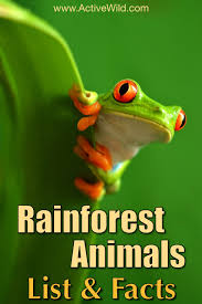 Rainforest Animals List With Pictures Facts Links To Further Information Rainforest Animals Rainforest Animals List Rainforest Facts