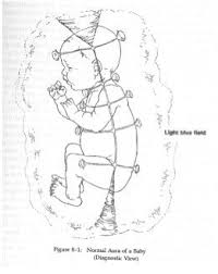 Barbara Brennan Chakra Chart Pflag