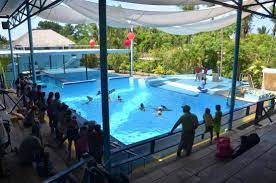 In the bavaro resort area, the animal adventure park has dolphin and sea lion shows, and offers close. Manati Park Bild Von Manati Park Bavaro Dominikanische Republik Tripadvisor