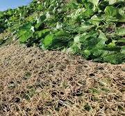 NEW: Secumat® Green 3D Mesh for temporary erosion control ...