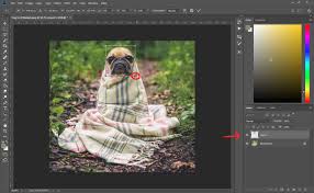 As we already have explained above how you can resize image layer proportionally in cc 2019 photoshop version. How To Resize An Image In Photoshop Howchoo