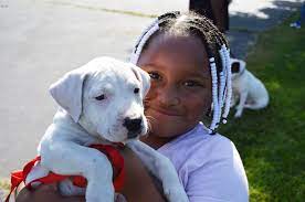 Why pay to lock your dog in a cage? Pets For Life Wisconsin Humane Society