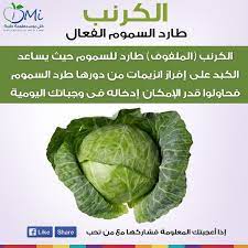 معلومة في صورة كل يوم معلومة طبية Vegetable Benefits Health Food Healthy Life