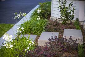 Bespoke garden design auckland, landscape design native gardens, subtropical gardens garden design for auckland clients: Garden Design Consultation Little Big Tree Company Christchurch New Zealand