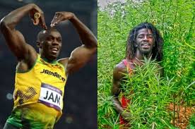 In bayern ist eine junge frau in einem altkleidercontainer. Sammlung Von Lustigen Bildern Lustigsten Bilder Jamaica Usain Bolt Rastaman Lustige Bilder Jamaica Bolt Und Rastaman Lustige Bilder Usain Bolt Jamaica Und Rastaman Lustige Bilder Negro Tauchen Lustige Bilder Little Negro