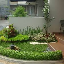 Untuk membuat tampilan taman terkesan cantik dan rapi, sebaiknya pilih beberapa jenis tanaman saja, hal ini juga bertujuan untuk membuat taman tidak terkesan penuh sesak. Jual Terlaris Paket Tanaman Hias Untuk Taman Minimalis Di Lapak Home Tara Bukalapak