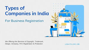 Different Types Of Companies In India For Business Registration In 2020 Public Limited Company Company Public Company