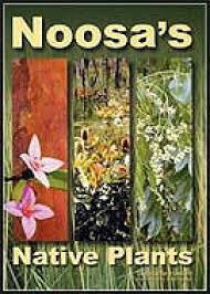 Practical plant identification is an essential guide to identifying flowering plant families (wild or cultivated) in the northern hemisphere. Noosa S Native Plants Forest Heart Eco Nursery