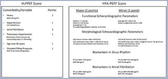 Image result for H2FPEF Score