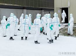 日本農業新聞 千葉で鳥インフル 今季 東日本初 １１６万羽殺処分