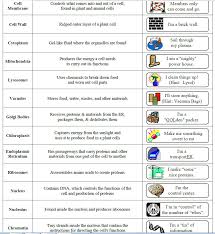 Cell Organelle Chart Answer Key Bedowntowndaytona Com