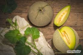 Oder ist es vernünftiger, wenn arbeitsintensives obst und gemüse in den herkunftsländern der erntehelfer. Saisonkalender August Obst Und Gemuse Regional Und Saisonal Einkaufen