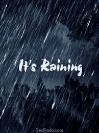 Ultra hd 4k wallpapers for desktop, laptop, apple, android mobile phones, tablets in high quality hd, 4k uhd, 5k, 8k uhd resolutions for free download. Best Rain Wallpaper Gifs Gfycat