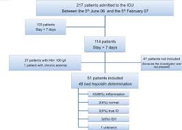 Flow Chart Of The Patients The Different Iron Profiles At