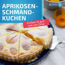 Zaubern sie sich diesen leckeren kuchen mit seinem für den guss geben sie den schmand, 50 g zucker, den zitronenabrieb, 3 eier und das. Bayern 1 Aprikosen Schmand Kuchen Facebook