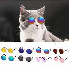 That S Really Out Of Sight Cat Pet Supplies Cat Accessories Pet Sunglasses
