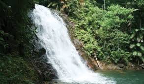 Check spelling or type a new query. Air Terjun Kota Tinggi Klezcar Malaysia Car Rental Service
