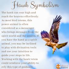 Hawk Symbolism Hawk Spirit Animal Spirit Animal Meaning Hawk Symbolism