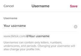 For a quick search, users apply to an individual photo and a brief biography covering their creative. How To Change Your Username On Tiktok In 5 Easy Steps