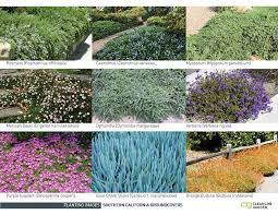 Socal Groundcovers Southern California Garden California Garden California