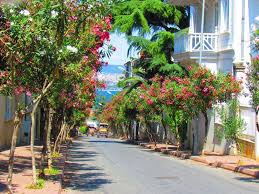 5 من افضل مطاعم جزر الاميرات فردوس الحياة للخدمات السياحية في تركيا