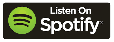 Image result for spotify icon