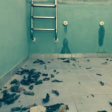 Their songs are hosts to entities they don't quite understand. Sp7ykdgb5wg9nm