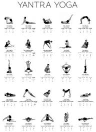 Yantrayoga Net Yantra Yoga Sivananda Yoga Ashtanga Yoga