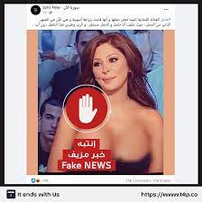ما حقيقة إعلان الفنانة اللبنانية إليسا بحملها من دون أب؟ | التقنية من اجل  السلام, الأخبار الكاذبة تنتهي ويانه