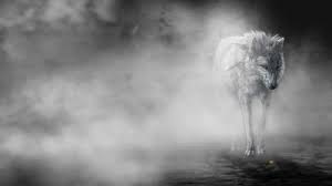 خلفيات وصور ذئاب جميلة wolves. ØµÙˆØ± Ø°Ø¦Ø§Ø¨ Ø¬Ù…ÙŠÙ„Ù‡ Ø®Ù„ÙÙŠØ§Øª Ù„Ø¹Ø´Ø§Ù‚ Ø§Ù„Ø°Ø¦Ø§Ø¨ Hd ØµÙˆØ± Ø¬Ù…ÙŠÙ„Ù‡ Ø¹Ù† Ø§Ù„Ø°Ø¦Ø¨ Ø§Ù„Ø¥Ø¨Ø¯Ø§Ø¹ Ø§Ù„ÙØ¶Ø§Ø¦ÙŠ