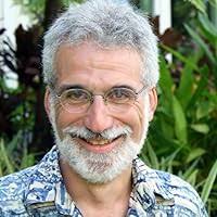 Diamond Ruby by Joseph Wallace