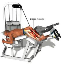 Work Out Biceps Femoris Hamstrings Glute And Hamstring Workout Hamstring Workout Leg Workout