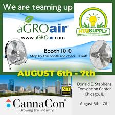 Transplanting seedlings and growing plants | htg supply hydroponics & grow lights. Htgsupply Htgsupply Twitter