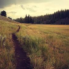 Pronunciation of zealot with 2 audio pronunciations, 8 synonyms, 1 meaning, 11 translations, 12 sentences and more for zealot. How To Pronounce Say Zealot By Bible Speak Pronunciation